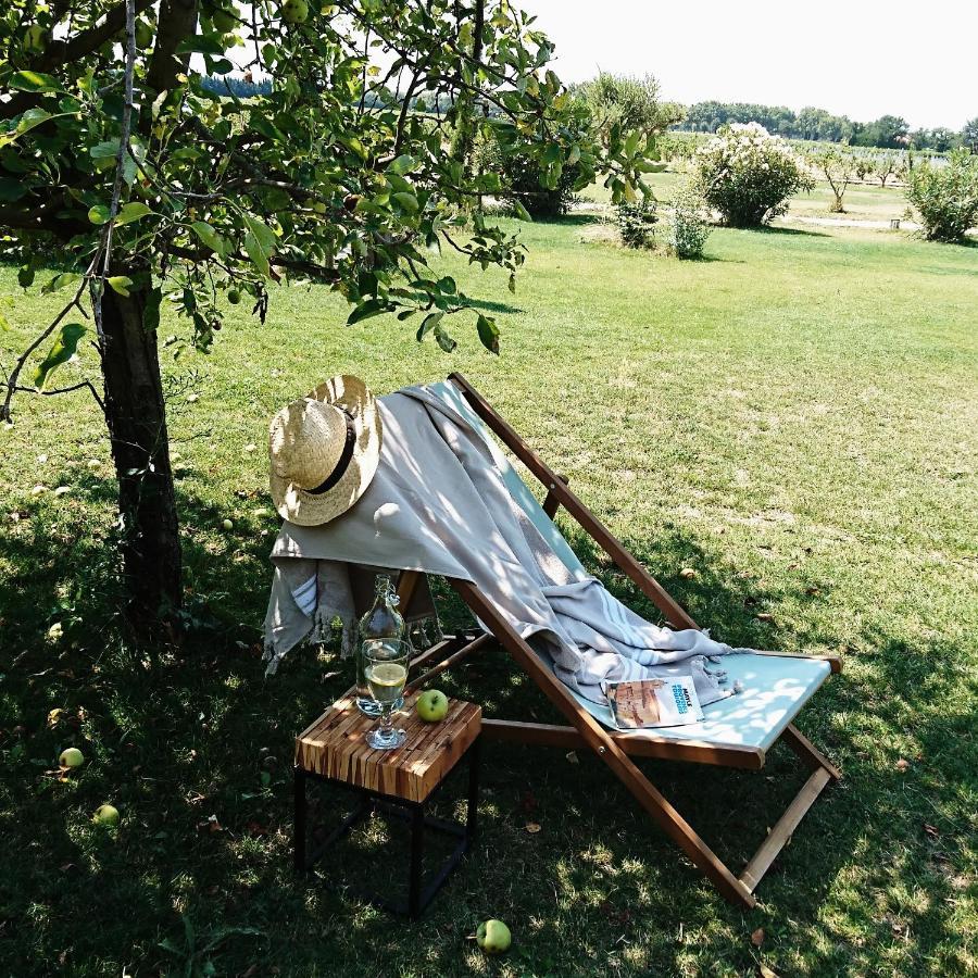 Le Mas Saint Philippe Jonquieres (Vaucluse) Exterior foto
